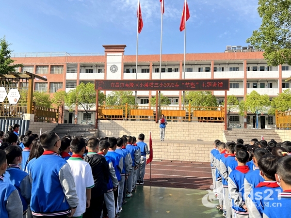 湖北倡导绿色生活禁塑从我做起小溪塔三小禁塑专项活动启动