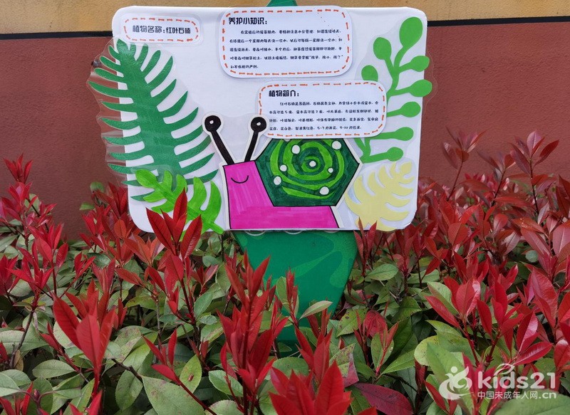 幼儿园植物园牌制作图片